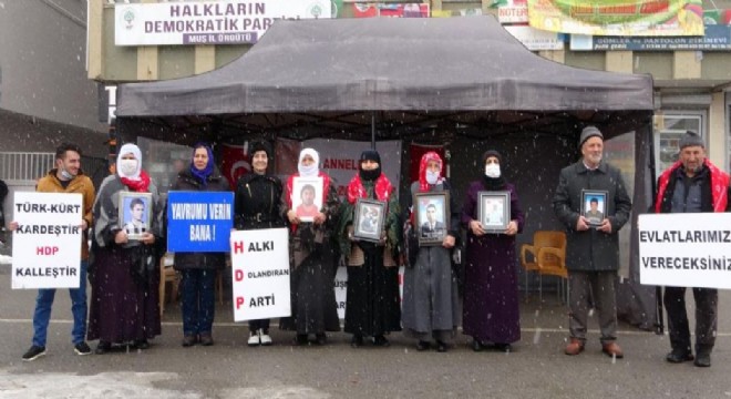  Muş'ta nöbetteki aile sayısı 29'a yükseldi